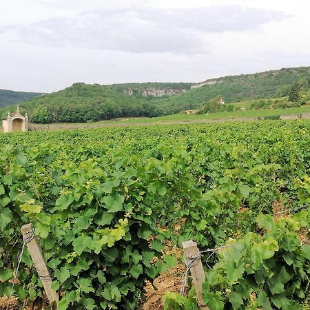 Gite Hautes Cotes De Nuits Curtil-Vergy ภายนอก รูปภาพ