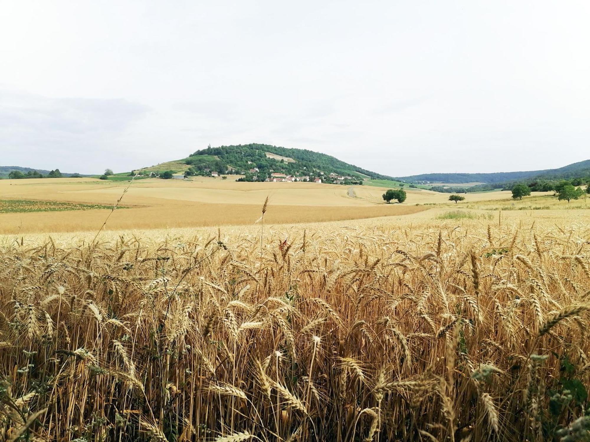 Gite Hautes Cotes De Nuits Curtil-Vergy ภายนอก รูปภาพ